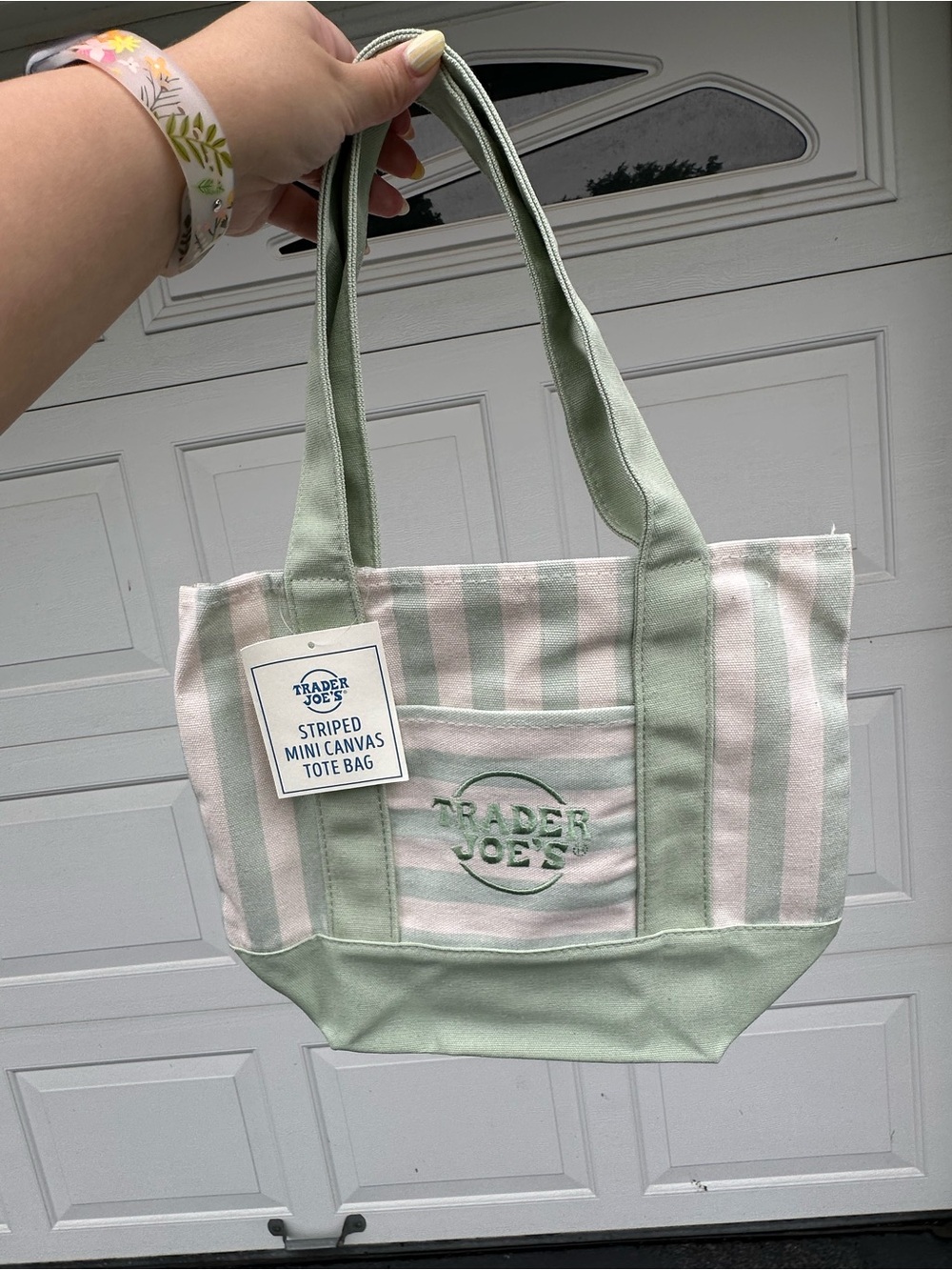 Trader Joe’s Striped Mini Canvas Tote Bag - Summer 2026 - Mint Green